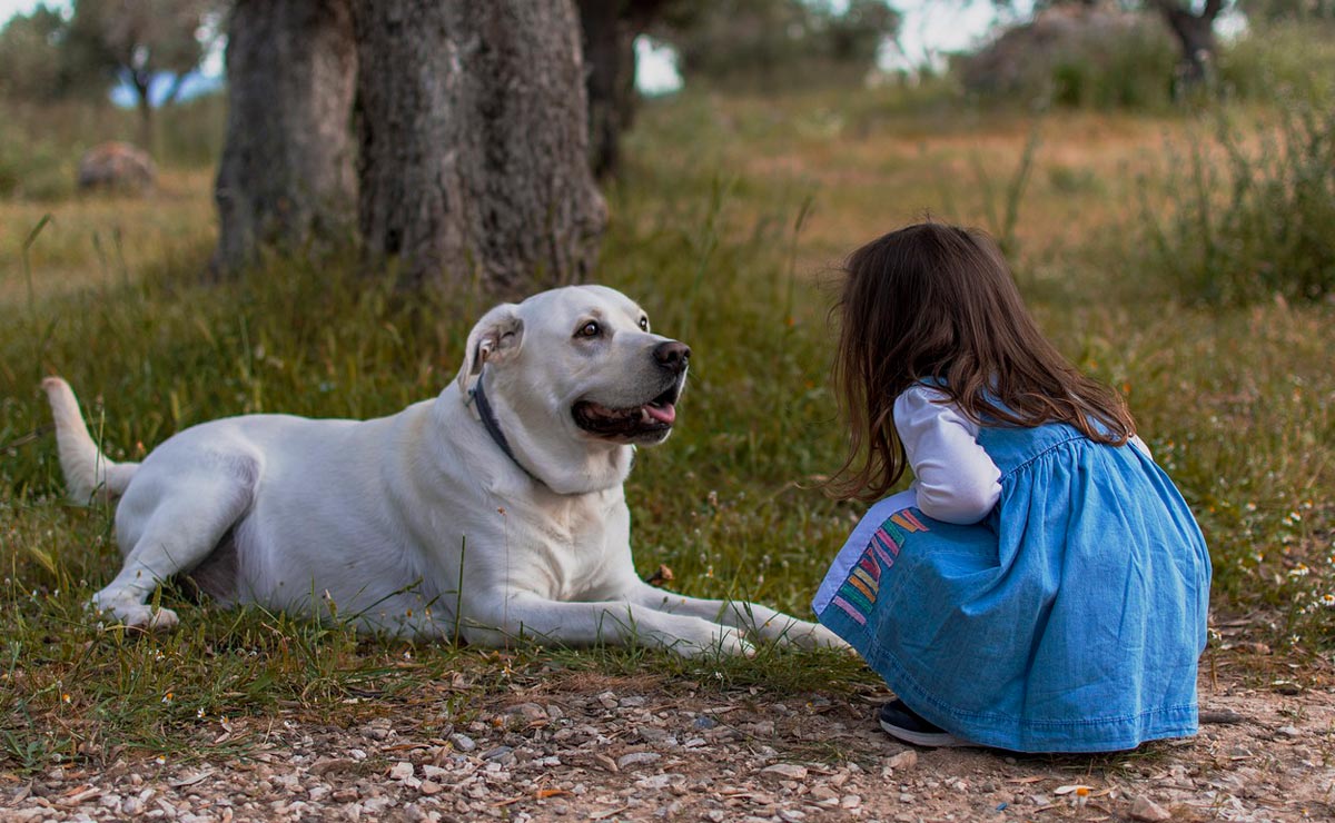 Przyszłość terapii - pies jako wspomaganie zdrowia psychicznego